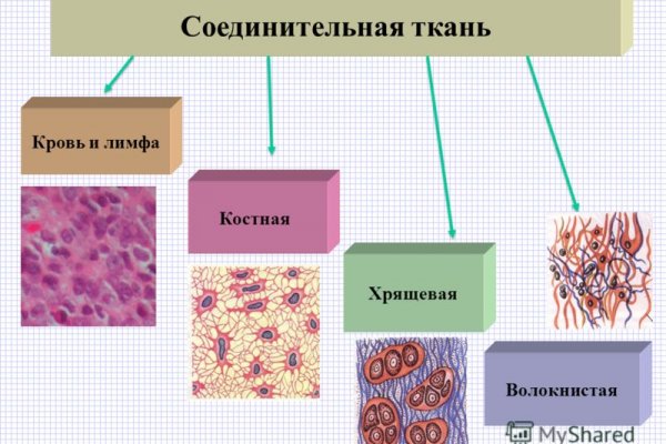 Кракен маркет даркнет только через стор